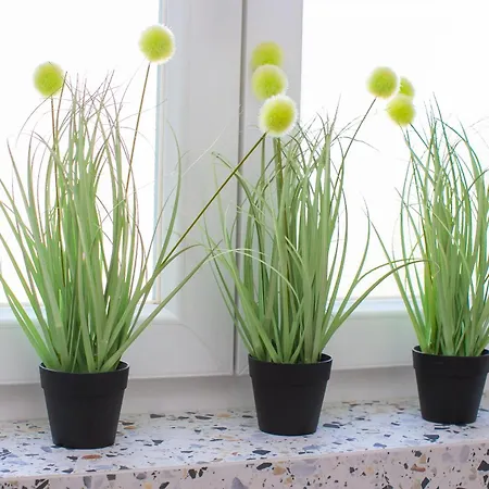 Marela דירה ספליט