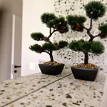 Marela Apartament *