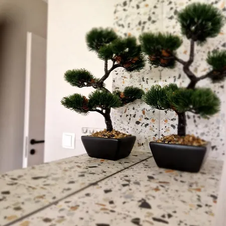 Marela Apartamento *
