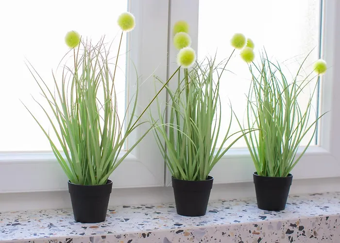 Marela 아파트 스플리트